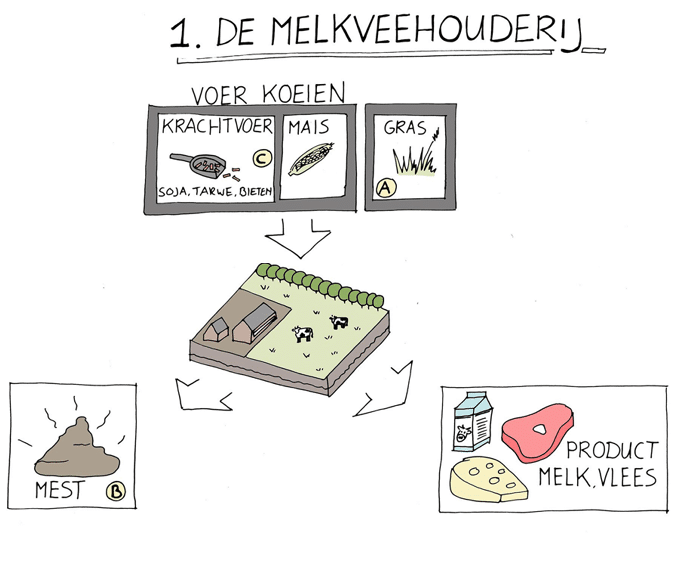 De bais voor de productie van kaas, melk en vlees zijn krachtvoer, mais en gras in melkveehouderij  Dit gebeurd op lanbouwgrond met behulp van koeien, machines en arbeid 