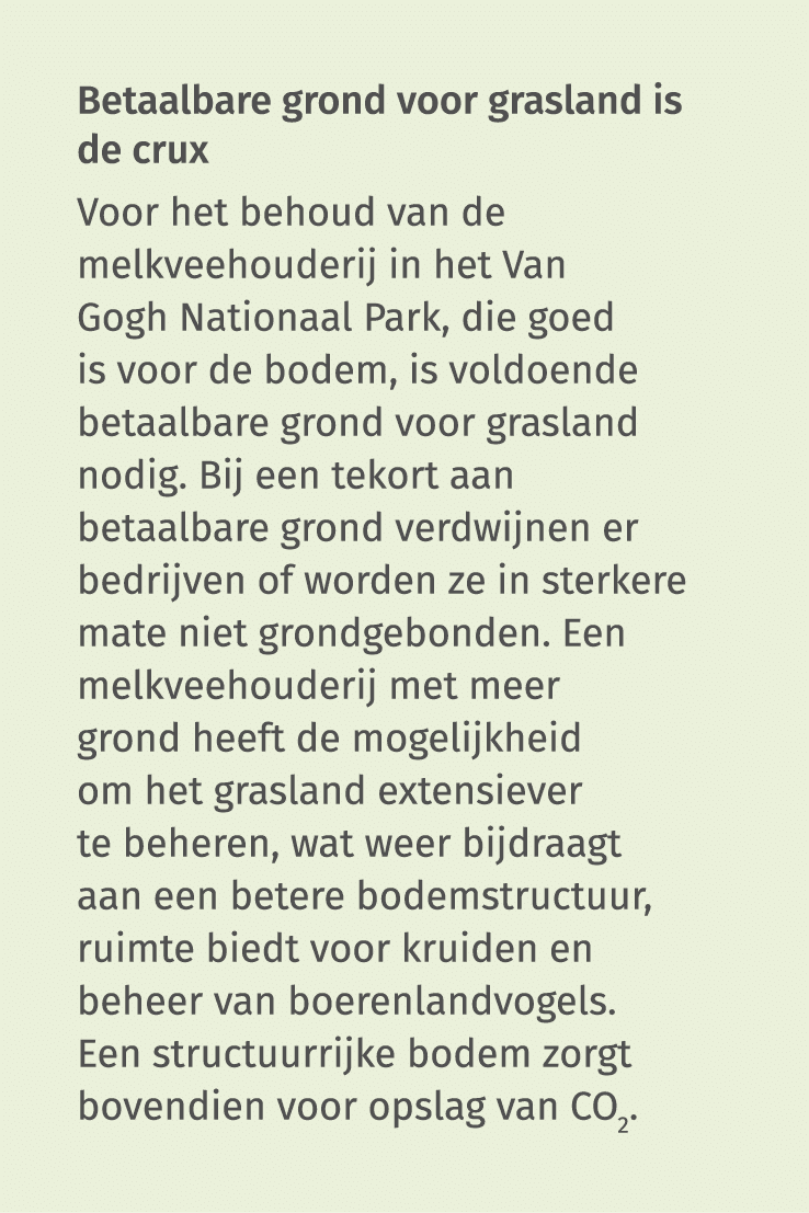 Betaalbare grond voor grasland is de crux Voor het behoud van de melkveehouderij in het Van Gogh Nationaal Park, die    