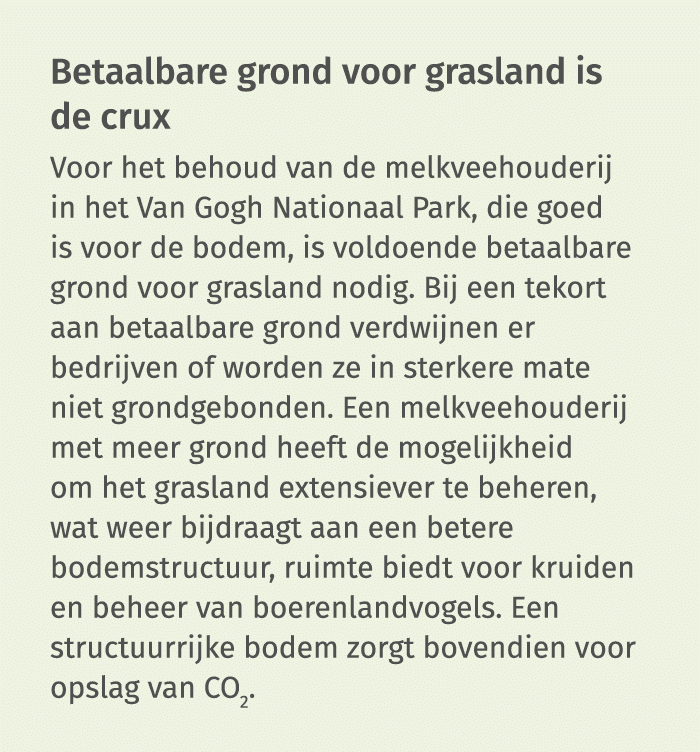 Betaalbare grond voor grasland is de crux Voor het behoud van de melkveehouderij in het Van Gogh Nationaal Park, die    