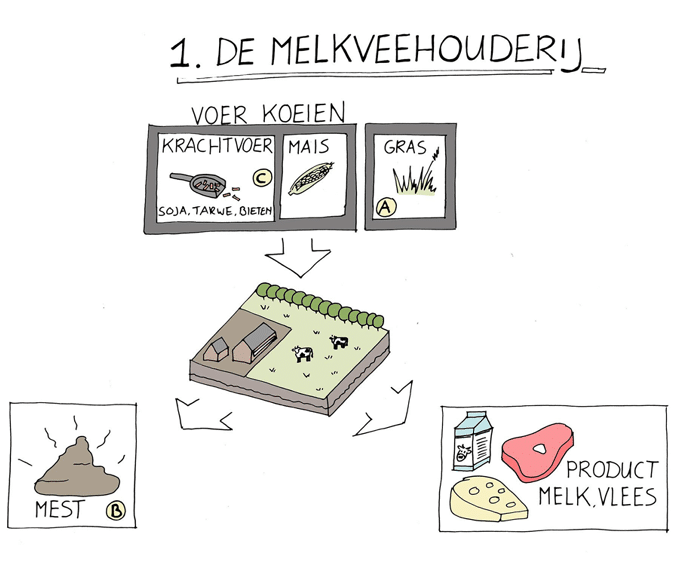De bais voor de productie van kaas, melk en vlees zijn krachtvoer, mais en gras in melkveehouderij  Dit gebeurd op lanbouwgrond met behulp van koeien, machines en arbeid 